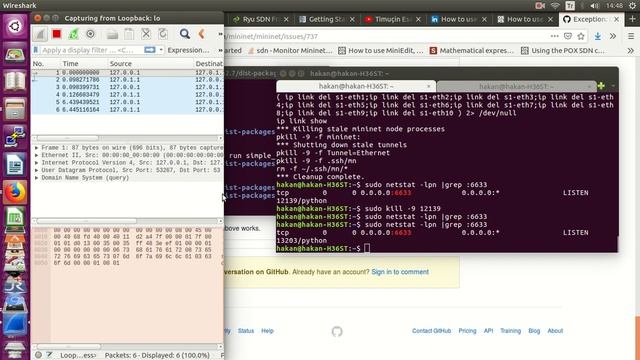 SDN analyze and grep 6653 port kill, wireshark, port listens смотреть онлайн