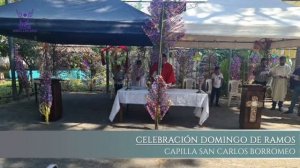 CELEBRACIÓN DOMINGO DE RAMOS/CAPILLA SAN CARLOS BORROMEO