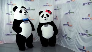Танцующие надувные ПАНДЫ - inflatable Panda costumes