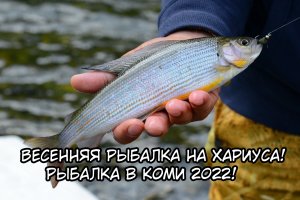 Весенняя Рыбалка на Хариуса! Рыбалка в Коми 2022!