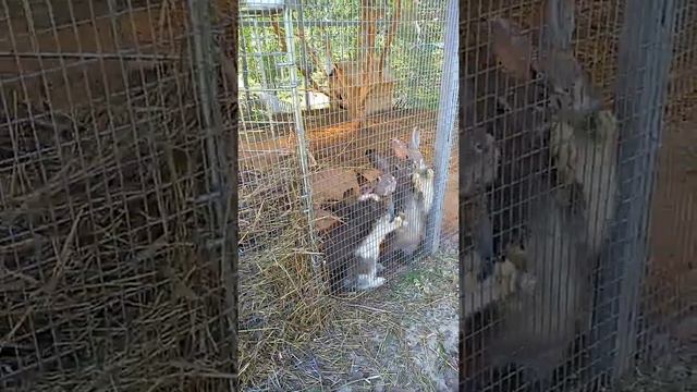 ЭКО ферма - рыбалка супер!!! смотреть онлайн