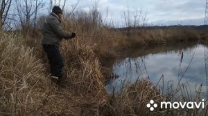 Ирпень. Нахлыст,нимфинг,короткая нимфа, smartnymphing, окунь.