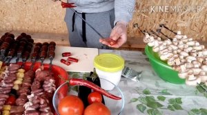 Овощи грибы и куриные сердечки на костре.