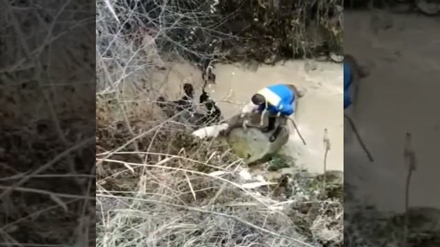 Чөөгө аңчылык смотреть онлайн