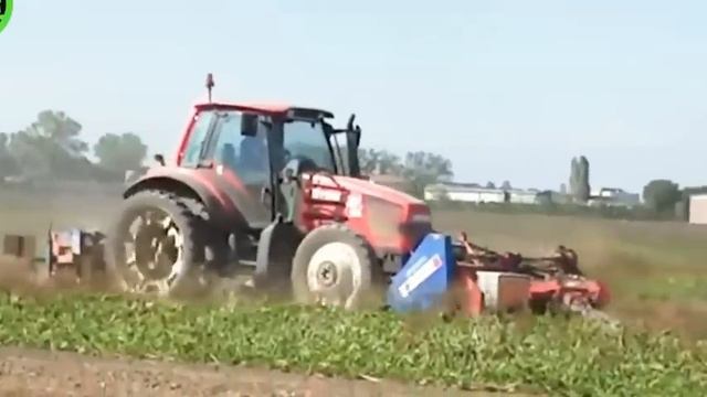 The Most Modern Agriculture Machines That Are At Another Level ,Harvest Banana|Harvest Innovators смотреть онлайн