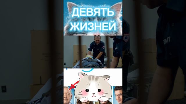 ДЕВЯТЬ ЖИЗНЕЙ ГОТОВО #shorts