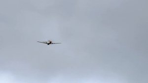 CARF P-51D Mustang | KOLM 150cc 3cyl | Skala Fyresdal 2020?✈️