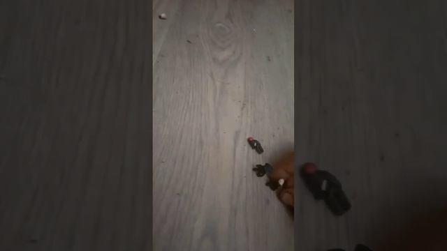 19 ноября 2023 г. смотреть онлайн