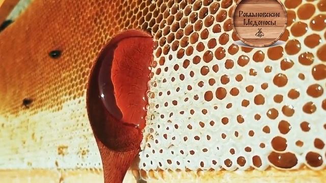 САМЫЙ  ЛУЧШИЙ  МЁД
