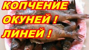 КАК ЗАКОПТИТЬ РЫБУ ! КОПЧЁНЫЙ ОКУНЬ ! КОПЧЕНИЕ ЛИНЯ !