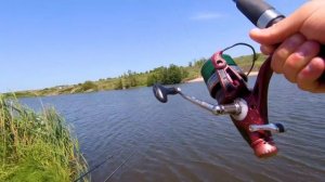 Отменный клёв толстолобика с  самодельными планктонами на реке Чёрный Ташлык.