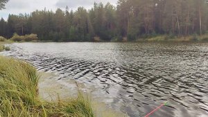 Рыбалка в Нижнем Тагиле. Осень 2022. Результат ноль. Валёгин Бор.