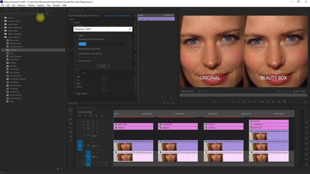 Best Smooth Skin Video Effect Plugin for Adobe Premiere Pro