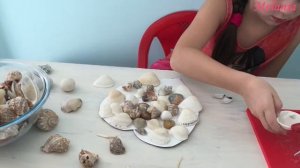 Поделка из ракушек