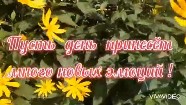 С последним днём лета!С ДОБРЫМ УТРОМ И ОТЛИЧНЫМ ДНЁМ !Красивое пожелание доброго утра. смотреть онлайн