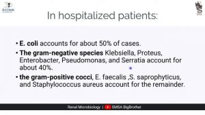 Urinary Tract Infections part 1