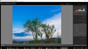 Lightroom монтаж фото урок Дерево