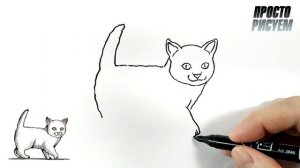 Рисуем Котенка, Рисунок для срисовки