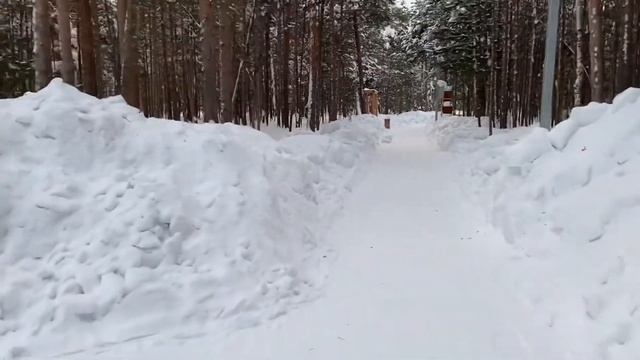 #СУРГУТ/КЕДРОВЫЙ ЛОГ/ КАК ПЛАТИМ ЗА РЕМОНТ ДВОРА/ ПП УЖИН ИДЕЯ #сибирь #хмао #север смотреть онлайн