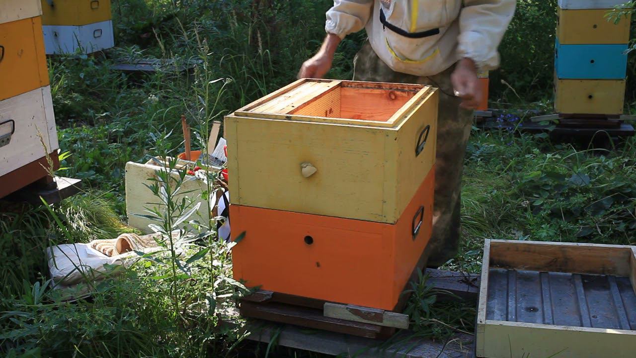 работа с отводками (последнее расширение). смотреть онлайн