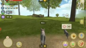 Находим клубки в симуляторе кота и кошки, часть 1