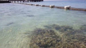 Sea Star Beau Rivage - how the sea is looking