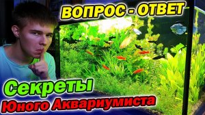 Секреты Юного Аквариумиста! Вопрос - Ответ