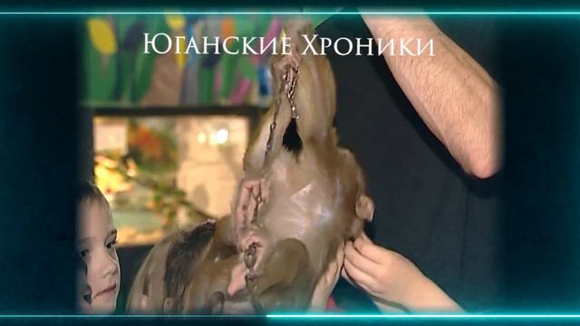 Нефтеюганск. Чистая вода, гады и козлы. Архив 2002 год. смотреть онлайн