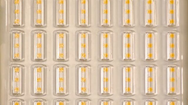 Glerio Universal Promo 0+ смотреть онлайн