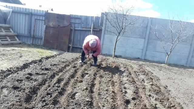 ЖИЗНЬ В ДЕРЕВНЕ /ПИРОЖКИ / сезон огородов открыт /из города в деревню /настоящая жизнь в деревне смотреть онлайн