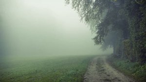 Терпи и взывай о помощи. Отец Сергий Булгаков.