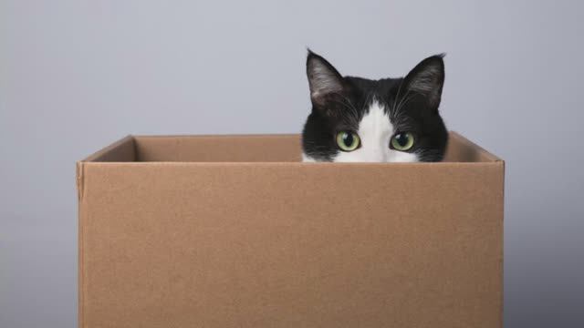 Типы хранения в Java смотреть онлайн