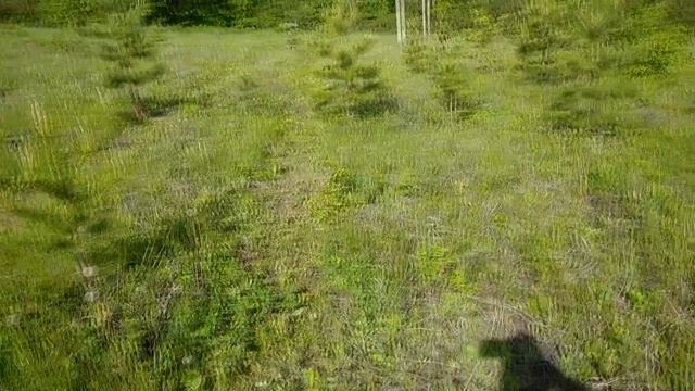 ПОДНЯТИЕ ЗАЛЕЖИ 2022 смотреть онлайн