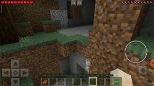 Открыл первый раз бонусный сундук в Minecraft