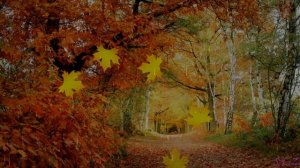 "Метель золотая" автор З. Я. Роот мелодия