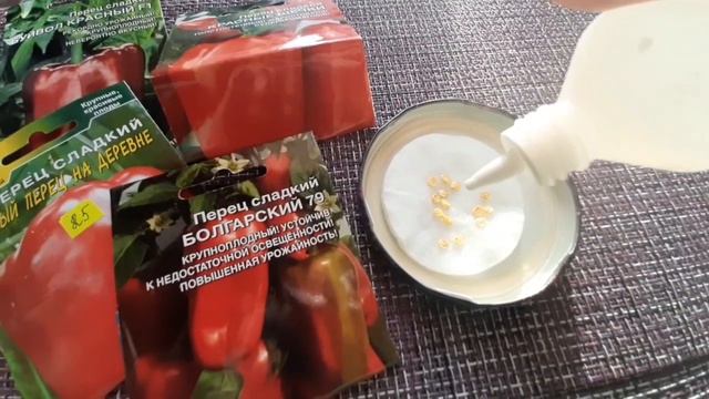 Как и чем можно обработать семена смотреть онлайн