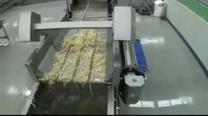 Оборудование и комплектные линии переработки овощей, фруктов и ягод