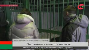 В Радужном создают приют для животных на базе городского питомника
