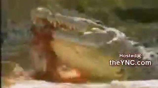 Giant Crocodile Swallows an Entire Gazelle in One Gulp смотреть онлайн