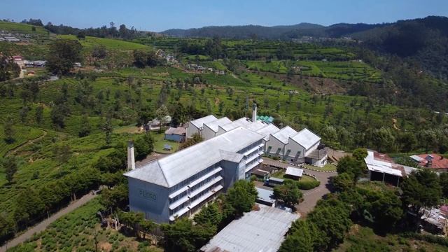 ШРИ-ЛАНКА 2022 | ЦЕНТР ОСТРОВА | ПИК АДАМА | ДЕВЯТИАРОЧНЫЙ МОСТ | ПОЕЗД | КАНДИ | НУВАРА-ЭЛИЯ |ЭЛЛА смотреть онлайн