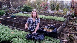 Осенние работы в саду и огороде! Подготовка к зиме, что делать с листьями, сидераты, плодовый сад