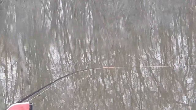 Река. Густера. Северский Донец Балаклея пос.Байрак смотреть онлайн