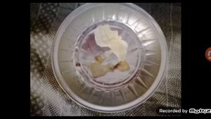 Удаление кандиды. Тампонами "Жемчужина Принцессы" фирмы Fohow.