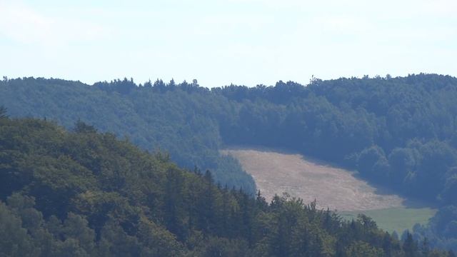 Муж был педант. Педант во всем. А мелочи в виде грязной посуды или обуви приводили его в бешенство! смотреть онлайн