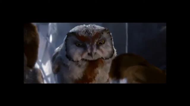 Легенды ночных стражей