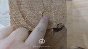 Правильно высушенный брус — половина успеха