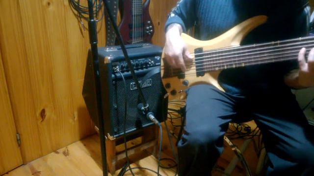 Test  bajo fretless 6 cuerdas