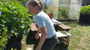 Дачные дела/Готовим вкусный ужин/Костя и Ира