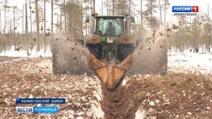 На торфяниках в Холмогорском районе фермеры-энтузиасты готовят плантации под высаживание клюквы