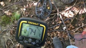 Коп на посадке с ТХ850. Искал монеты, нашел трак